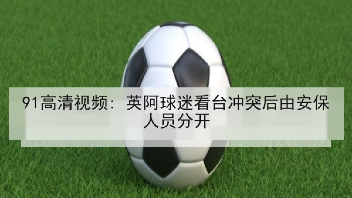 91高清视频: 英阿球迷看台冲突后由安保人员分开
