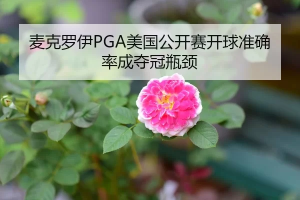 麦克罗伊PGA美国公开赛开球准确率成夺冠瓶颈