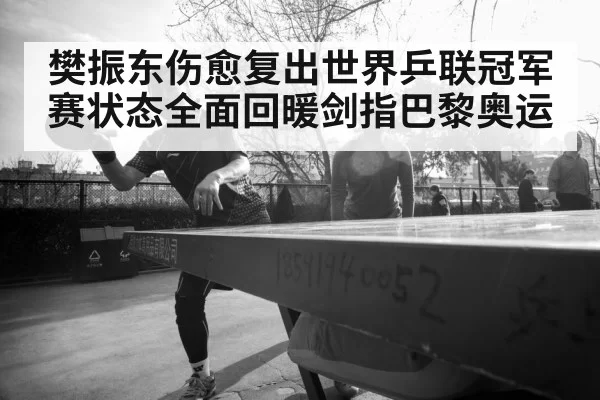 樊振东伤愈复出世界乒联冠军赛状态全面回暖剑指巴黎奥运